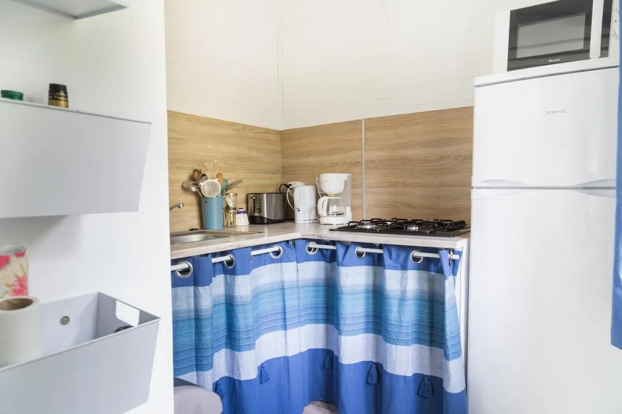 Maison D'Hotes L'Ilot Bambou Hotel Avignon