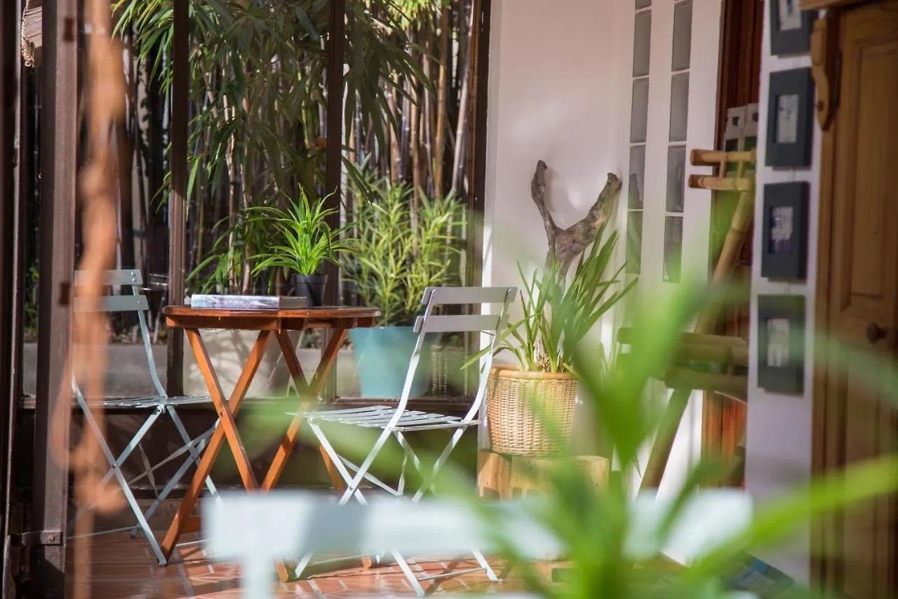 ** Guest house Maison D'Hotes L'Ilot Bambou Hotel Avignon France